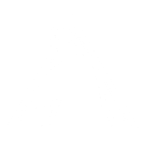 HSOC Logo